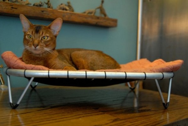 Hammock Cat Beds:    .   Brat Cat Designs