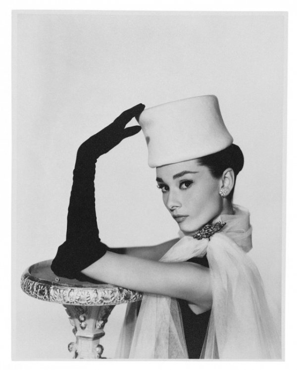 The special edition: Audrey Hepburn