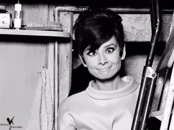 The special edition: Audrey Hepburn