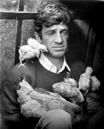 Jean-Paul Belmondo