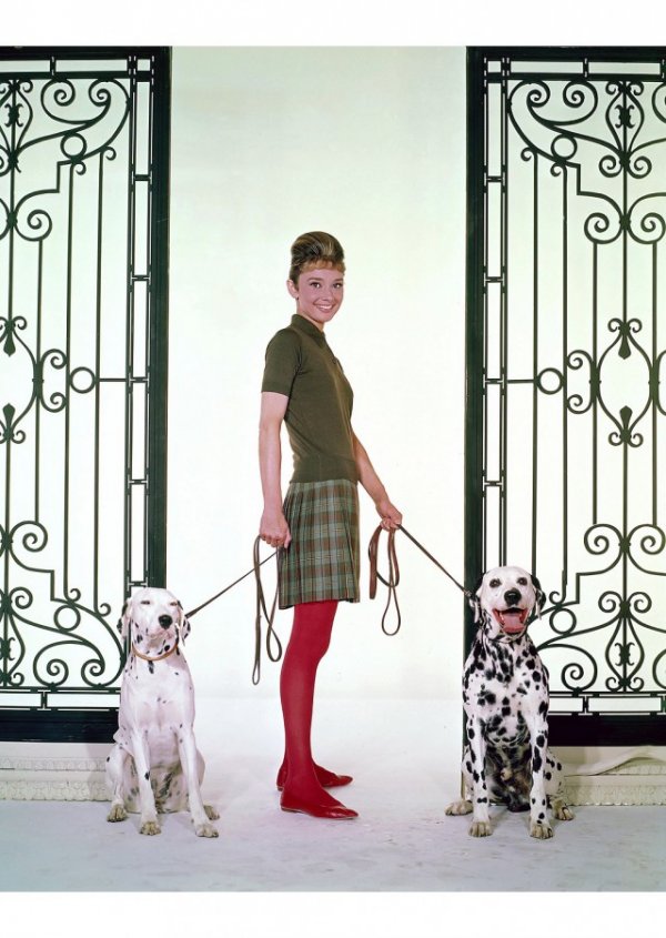 The special edition: Audrey Hepburn