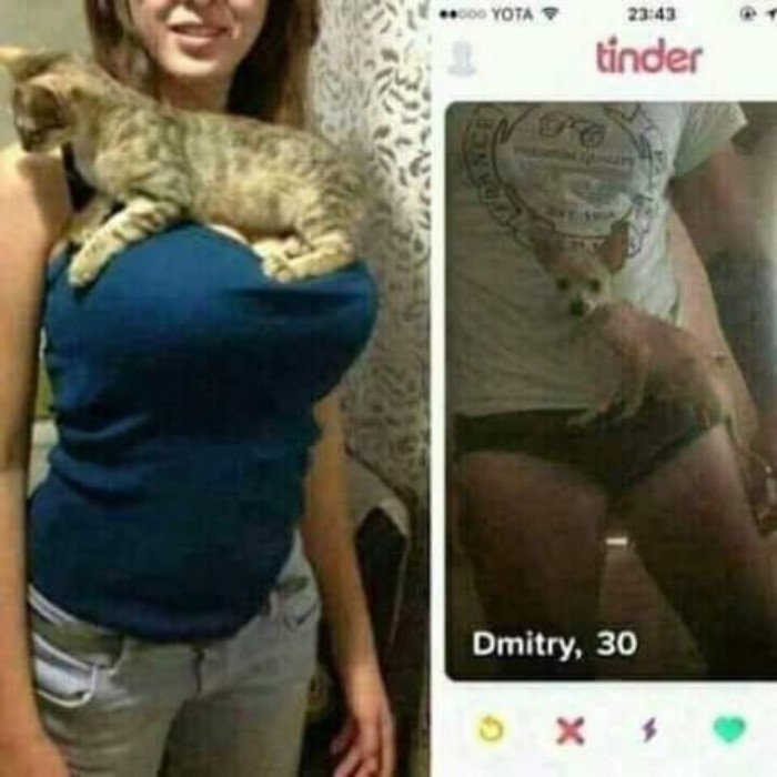   Tinder:  ,    