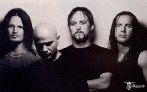 Disturbed (  )