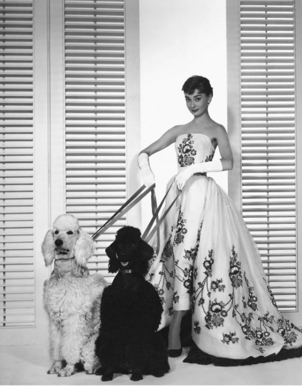 The special edition: Audrey Hepburn