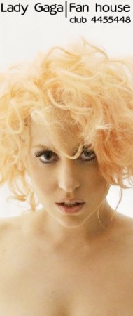 Lady Gaga ( )