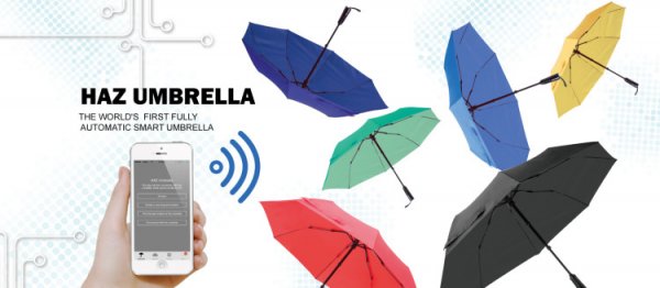 HAZ Umbrella  ,   