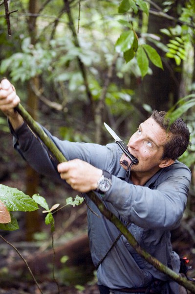 Bear Grylls