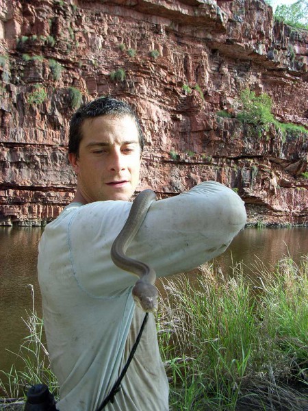 Bear Grylls