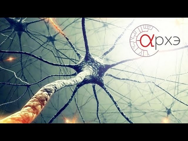 Нейроны и нейросети